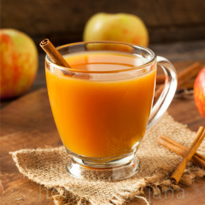 apple cider in a cup with a cinnamon stick.